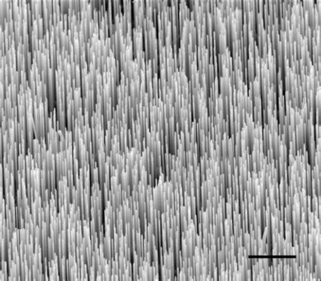  Zinc Oxide Nanowires: Unlocking Efficiency and Transparency in Cutting-Edge Applications!